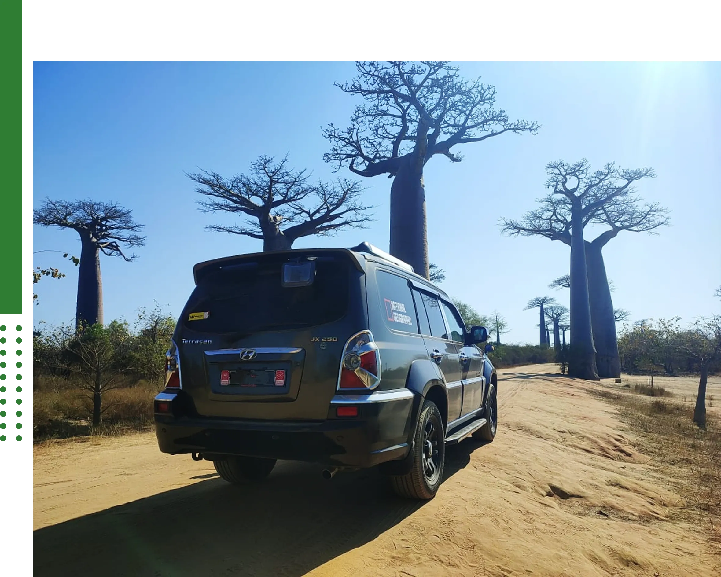 Nature & Wildlife Tours