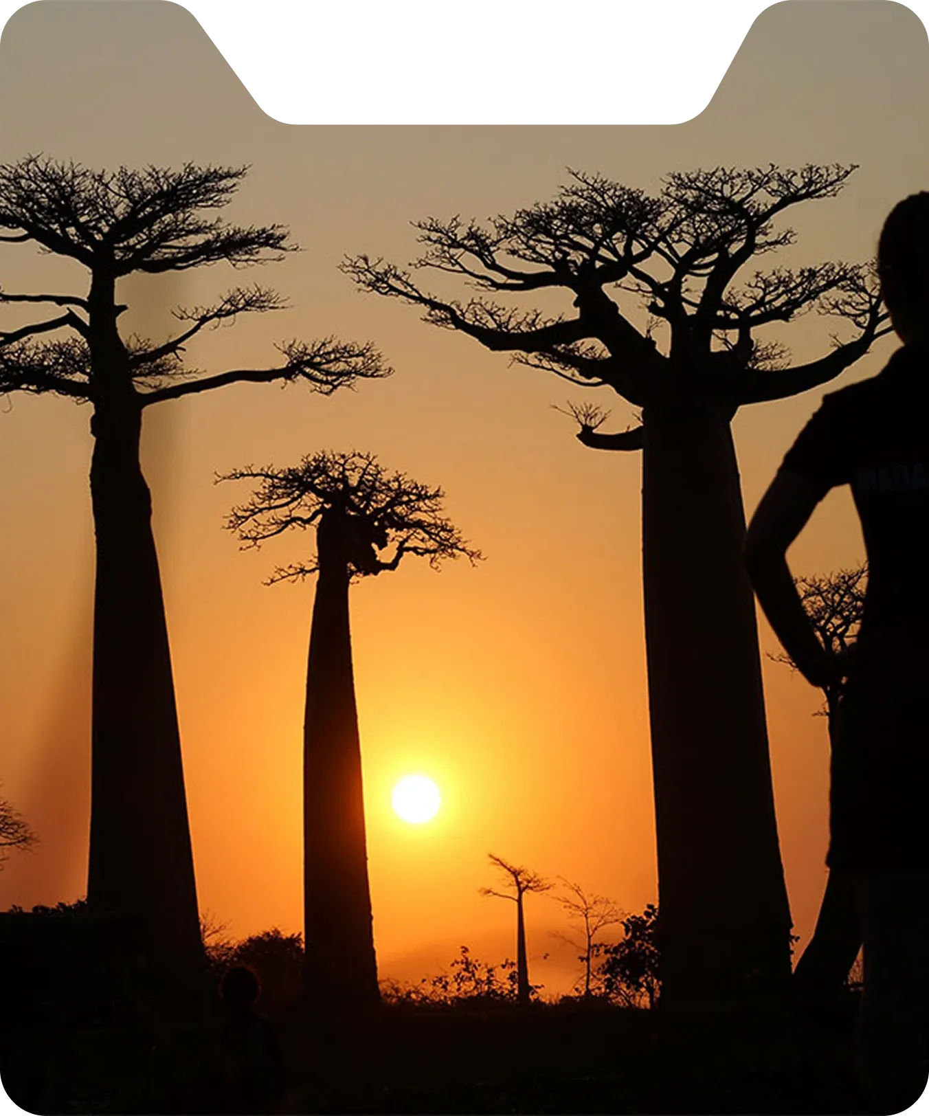 Visite de la ville de Morondava