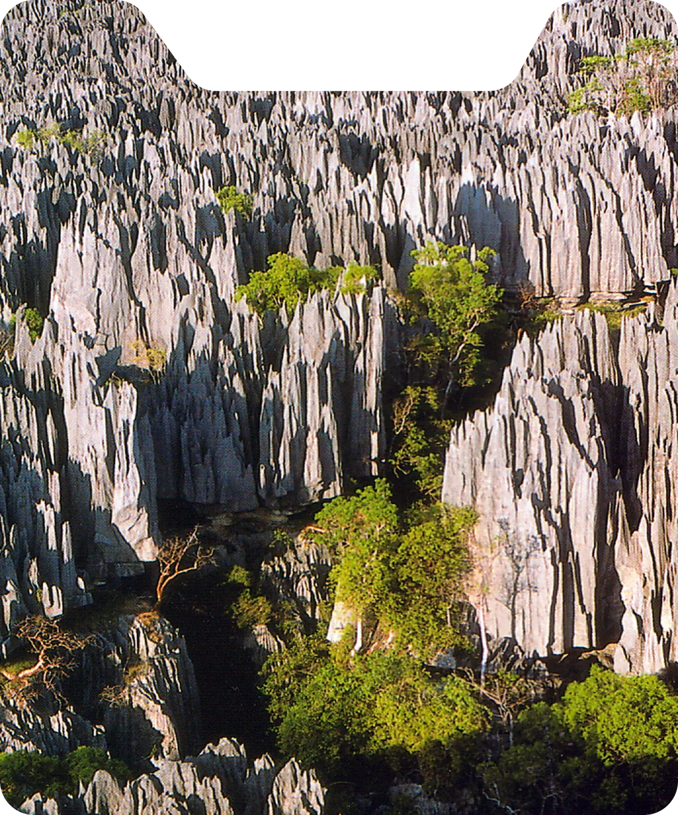 Circuit Tsingy de Bemaraha